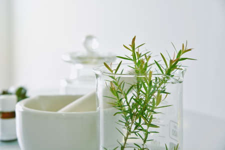 Natural organic botany and scientific glassware, Alternative herb medicine, Natural skin care beauty...