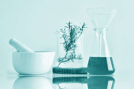 Natural organic botany and scientific glassware, Alternative herb medicine, Natural skin care beauty products, Research and development concept.の写真素材