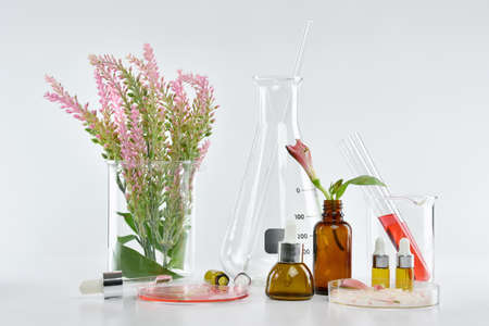 Cosmetic bottle containers with green herbal leaves and scientific glassware, Blank label package...