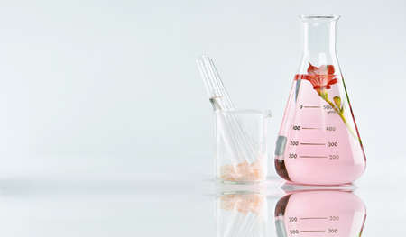 Natural organic extraction and green herbal leaves, Flower aroma essence solution in laboratory.の写真素材