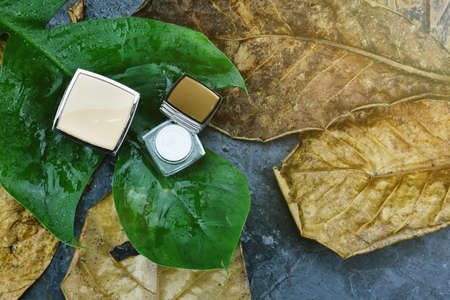 Cosmetics beauty product packaging for branding mock-up, Natural organic green ingredient for skin care, Before and after using concept.の写真素材