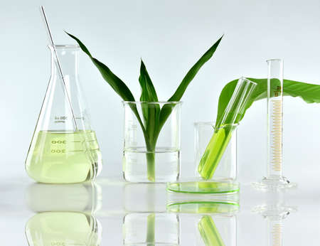 Natural organic botany and scientific glassware, Alternative herb medicine, Natural skin care beauty...