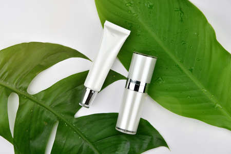 Cosmetic bottle containers with green herbal leaves, Blank label for branding mock-up, Natural beauty product concept.の写真素材