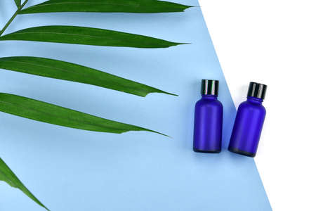 Cosmetic bottle containers with green herbal leaves, Blank label for branding mock-up, Natural beauty product concept, Flat lay on color background.の写真素材