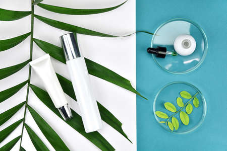 Cosmetic bottle containers with green herbal leaves, Blank label for branding mock-up, Natural beauty product concept, Flat lay on color background.の写真素材