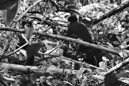 Soldiers aiming target and holding his rifles hidden ambushed, Army sniper camouflage in forest,...