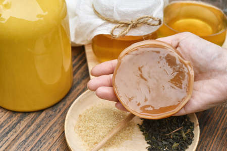 Scoby, Hand holding tea mushroom with kombucha tea, Healthy fermented food, Probiotic nutrition...