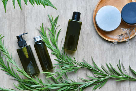 Cosmetic green bottle containers packaging with herbal leaves, Blank label for organic branding mock-up, Natural skincare beauty product concept.の写真素材