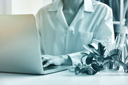 Medicinal plant research, Scientist studying organic herbal for new drug medicine, Healthcare and development concept.の写真素材