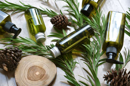 Cosmetic bottle containers packaging with green herbal leaves, Blank label for organic branding mock-up, Natural skincare beauty product concept.の写真素材