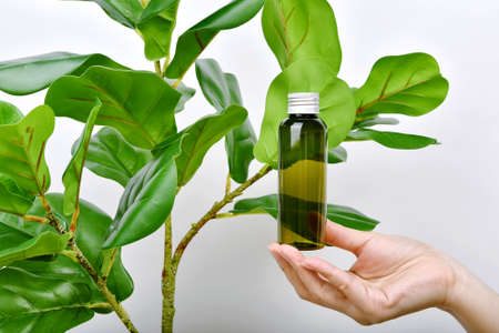 Hand holding natural skincare bottle, Cosmetic bottle containers packaging with pure green plant...