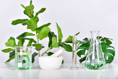 Natural drug research, Plant extraction in scientific glassware, Alternative green herb medicine,...