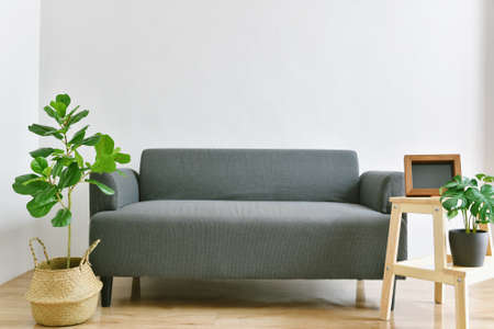 Living room interior design, Home decor with modern fabric sofa and green houseplants for indoor air purification.の写真素材