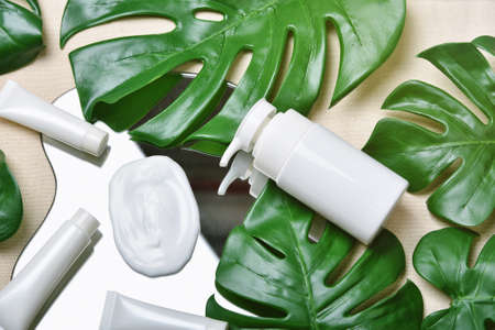 Cosmetic bottle containers packaging with green herbal leaves, Blank label for organic branding...