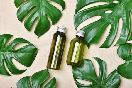 Cosmetic bottle containers packaging with green herbal leaves, Blank label for organic branding mock-up, Natural skincare beauty product concept.の写真素材