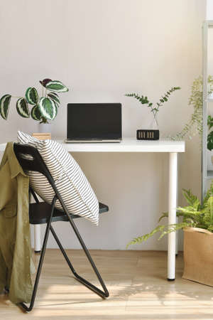 Home office decorate with green nature tree plants, Workspace and laptop computer on desk, Warm and...