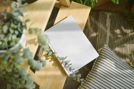 White hard cover book mock up, Book in comfort living room with warm and cozy natural light,...