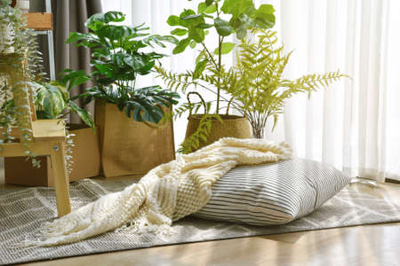 Pillow and soft blanket in relaxing space, Comfort living room with warm and cozy natural light, Artificial plant, Indoor tropical houseplant for home interior and air purification.の写真素材