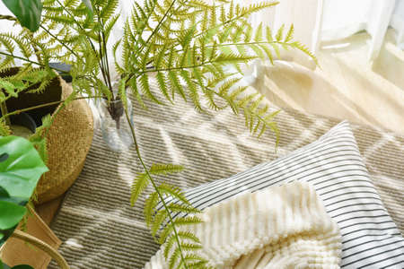 Pillow and soft blanket in relaxing space, Comfort living room with warm and cozy natural light, Artificial plant, Indoor tropical houseplant for home interior and air purification.の写真素材