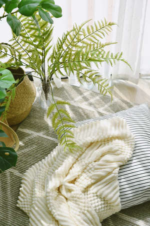 Pillow and soft blanket in relaxing space, Comfort living room with warm and cozy natural light, Artificial plant, Indoor tropical houseplant for home interior and air purification.の写真素材