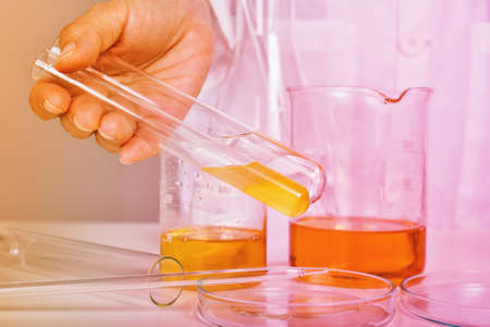 Science laboratory, Chemical substance in test tube, Research and medical formulating
