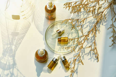 Natural skin care beauty products, Natural organic botany extraction and scientific laboratory glassware, Blank label cosmetic container for branding mock-up.の写真素材