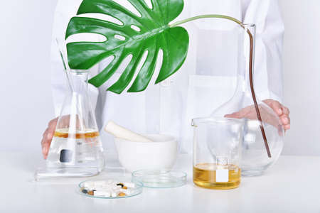 Alternative herbal medicine laboratory, Mortar with healing botanical herbs, Natural organic botany and scientific glassware, Natural skincare beauty products, Research and development concept.の写真素材