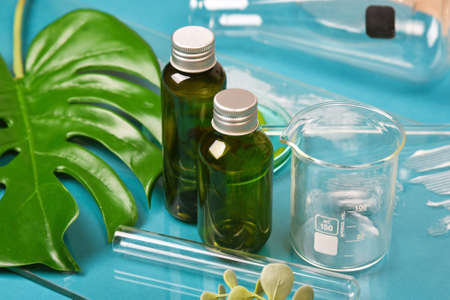 Alternative herbal medicine laboratory, Natural organic botany and scientific glassware, Natural skincare beauty products, Research and development concept.の写真素材