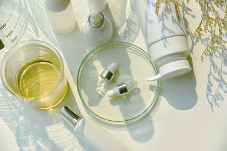 Natural skincare beauty products in shadow and light effect, Organic botany extraction and scientific laboratory glassware, Blank label cosmetic container for branding mock-up.の写真素材