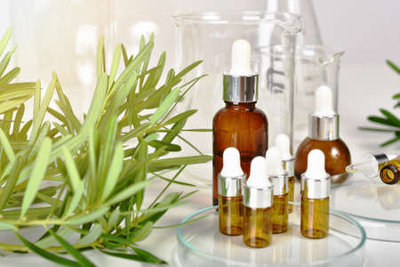 Natural skincare beauty products, Organic extraction research for concentrate serum and scientific laboratory glassware, Blank label cosmetic spa oil dropping container.の写真素材