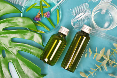 Natural skincare beauty products, Organic botany extraction and scientific glassware, Blank label cosmetic container for branding mock-up.の写真素材