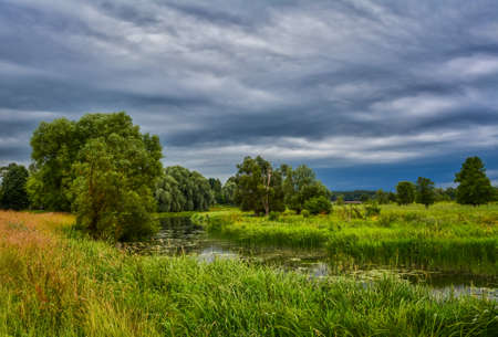 Landscape. Summer day, cloudy sky, river in the grass.の写真素材