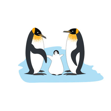 A family of Royal penguinsのイラスト素材