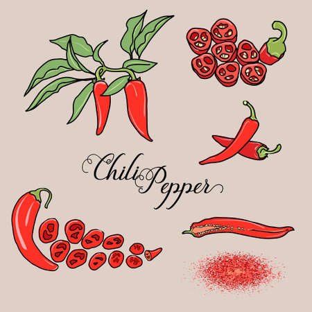 Chili pepper vector set.のイラスト素材