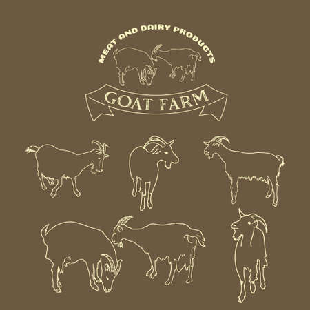 goats vector setのイラスト素材
