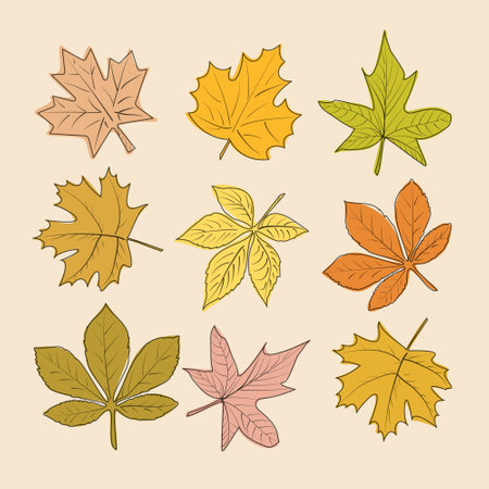 A set of leaves in the style of a sketchのイラスト素材