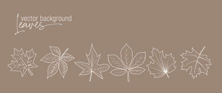 Set of leaves in sketchy styleのイラスト素材