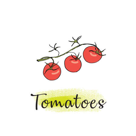 tomatoes on a branchのイラスト素材