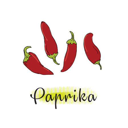 Paprika, hot pepperのイラスト素材