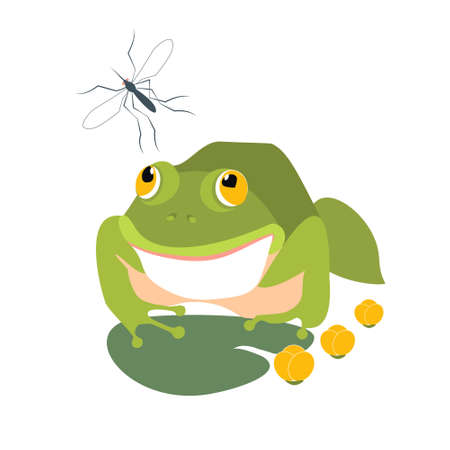 Frog and mosquito  illustrationのイラスト素材