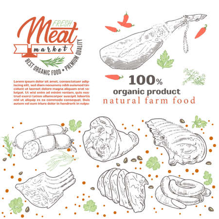 Meat products and sausagesのイラスト素材