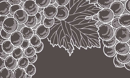 Vintage Wine labelのイラスト素材