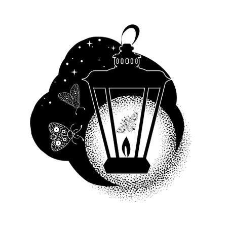 Lantern light and night mothsのイラスト素材