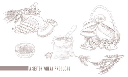 Vintage set of grain productsのイラスト素材