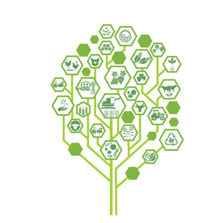 Tree of agricultural branchesのイラスト素材
