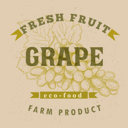Grape label designのイラスト素材