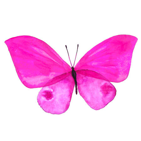 Watercolor image of a butterfly on a white background. Isolated insect pattern with wings. Butterfly close-up. Handmade illustration. Animal world of insects. Wildlife cliparts.の写真素材
