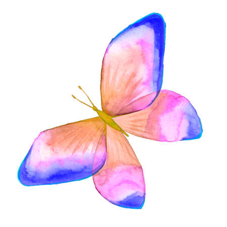 Watercolor image of a butterfly on a white background. Isolated insect pattern with wings. Butterfly close-up. Handmade illustration. Animal world of insects. Wildlife cliparts.の写真素材