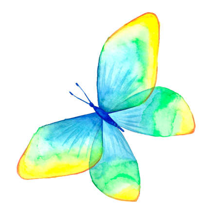 Watercolor image of a butterfly on a white background. Isolated insect pattern with wings. Butterfly close-up. Handmade illustration. Animal world of insects. Wildlife cliparts.の写真素材