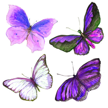 Collection of watercolor images of beautiful butterflies. A set of illustrations of an insect. Hand drawing. Isolated Clipart.の写真素材
